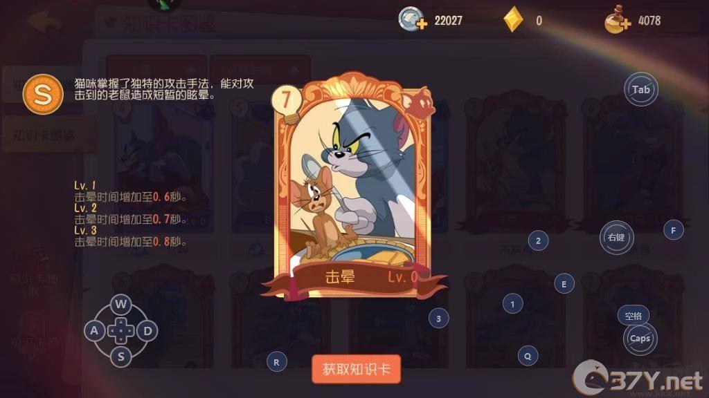 侍卫汤姆知识卡搭配方案4