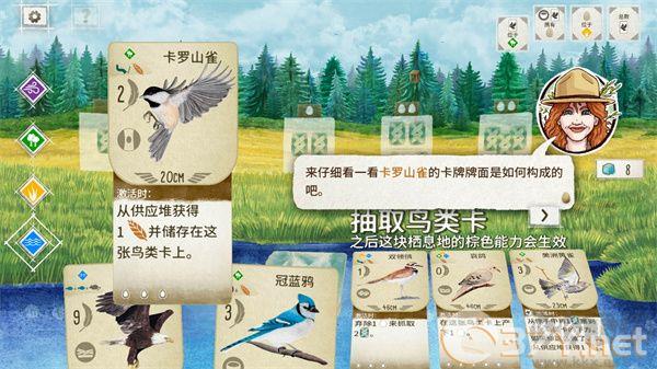 展翅翱翔官方版