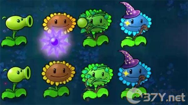 植物暴虐僵尸2025