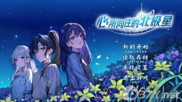 心所向往的北极星