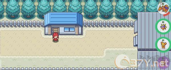 PokeMMO