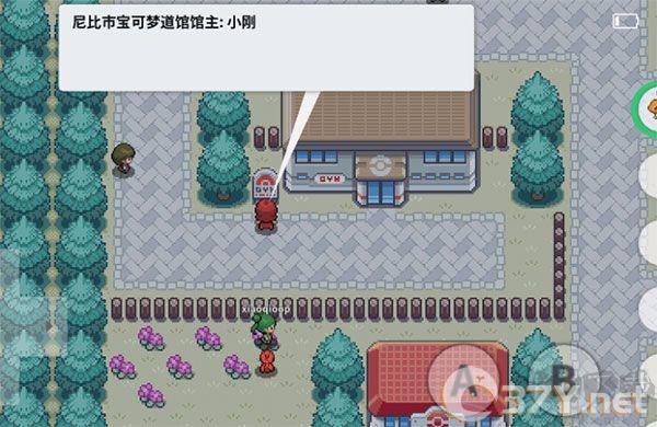 PokeMMO