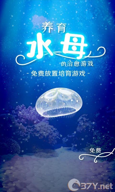 养育水母的治愈游戏官网版