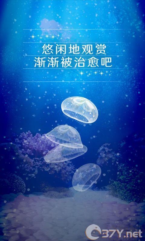 养育水母的治愈游戏官网版
