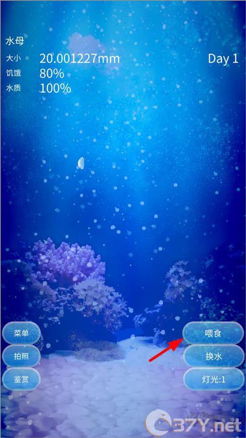 养育水母的治愈游戏