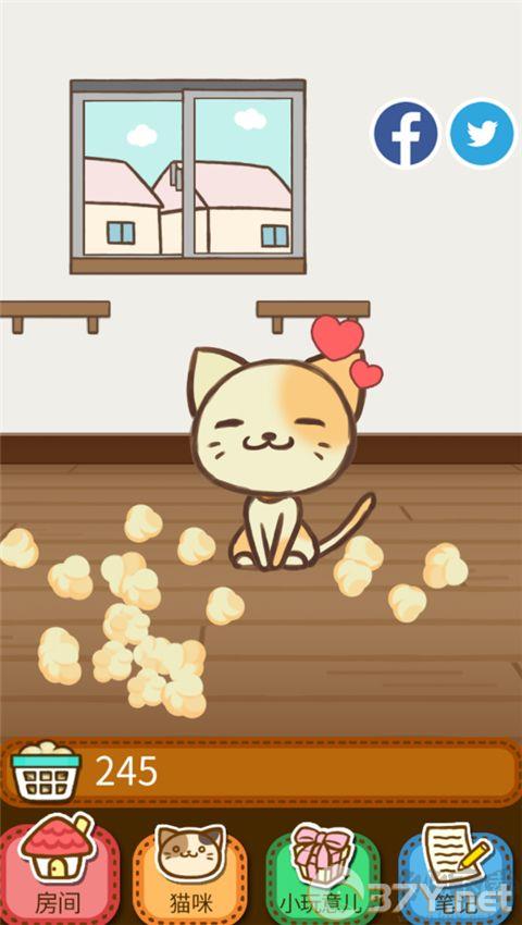 猫咪的毛