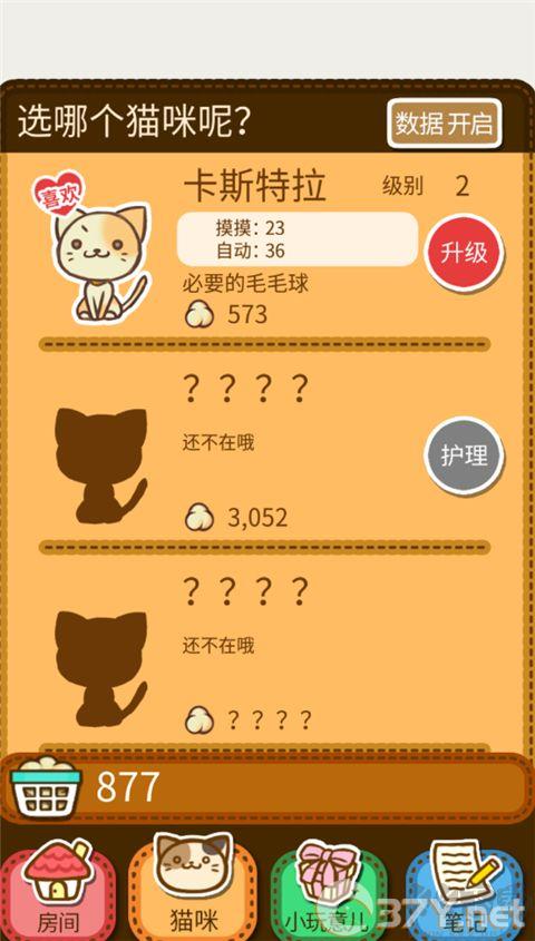 猫咪的毛
