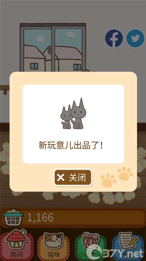 猫咪的毛