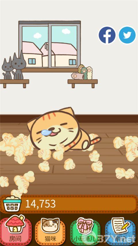 猫咪的毛