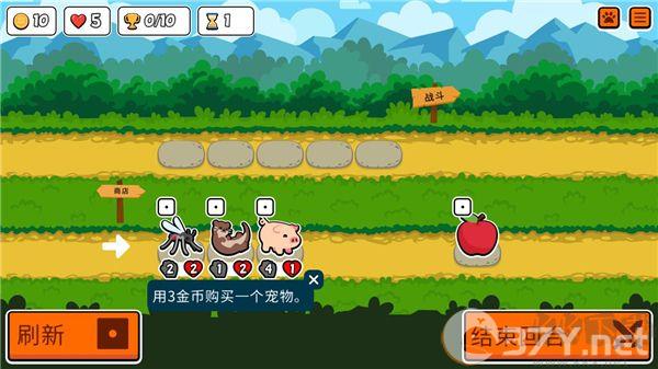 小动物自走棋(Super Auto Pets)