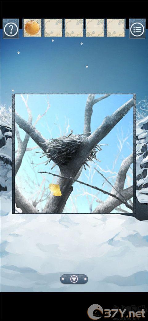 忘雪