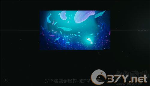 鲤