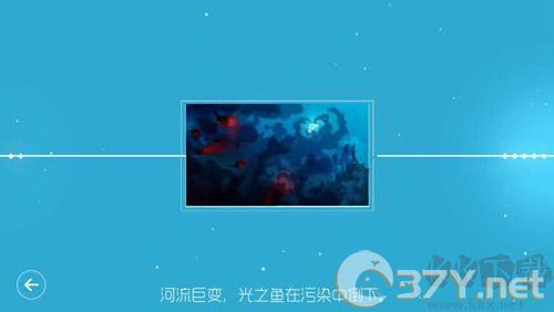 鲤
