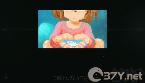 鲤
