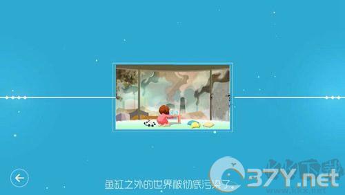 鲤