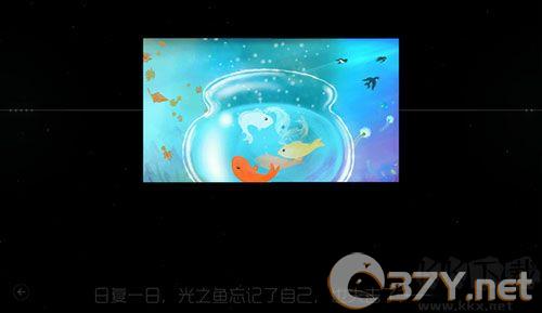 鲤