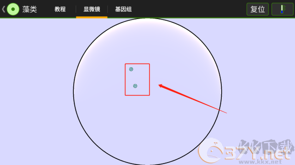 细胞实验室（Cell Lab）