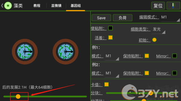 细胞实验室（Cell Lab）