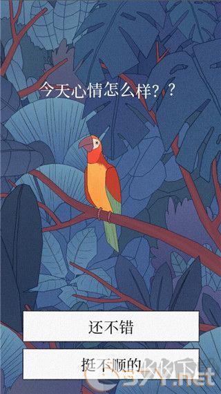 孤独的鸟儿(Bird Alone)