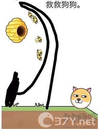 我的狗狗最新版
