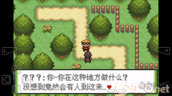 口袋妖怪釉色最新版