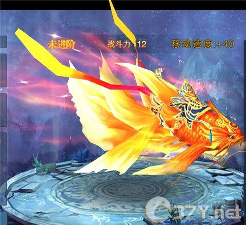 天子官方版
