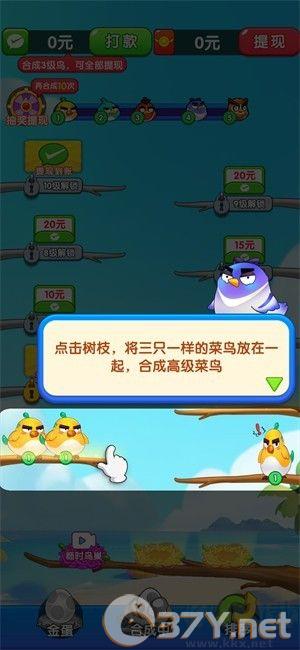我是菜鸟王官方版
