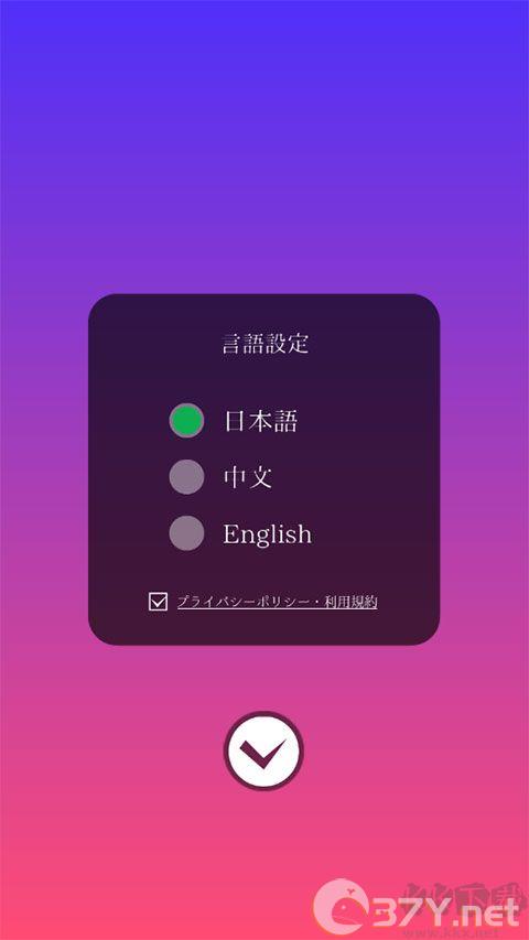 企鹅生活