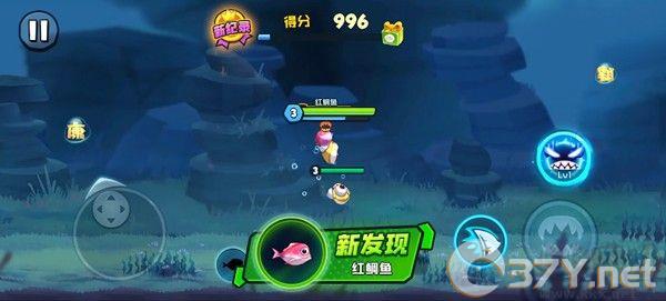 鱼吃鱼