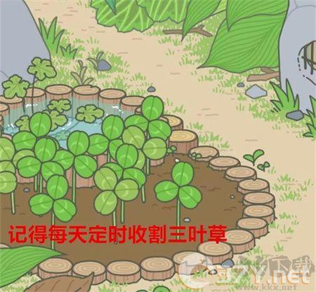 旅行青蛙