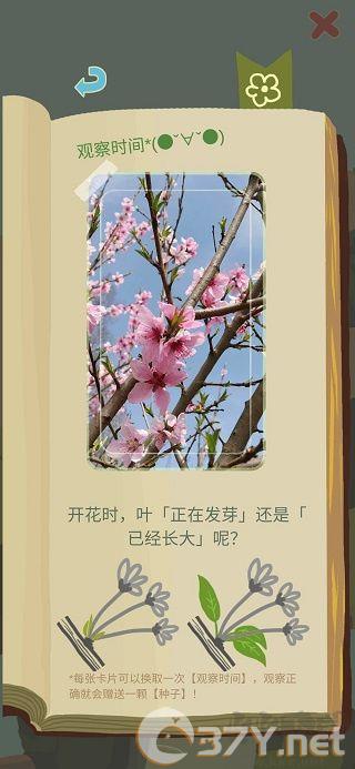 老农种树