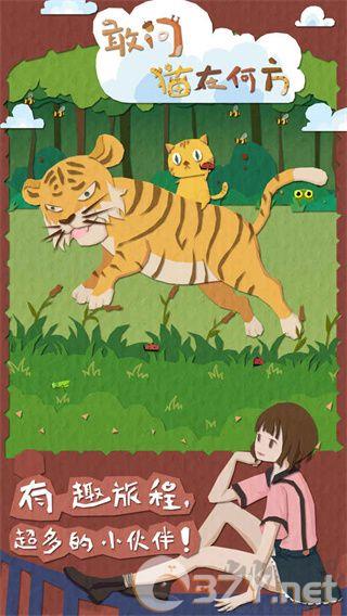敢问猫在何方