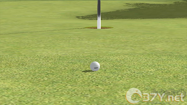 高尔夫之王(Golf King World Tour)