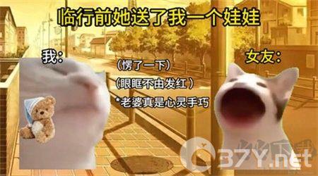 猫meme搞怪冒险