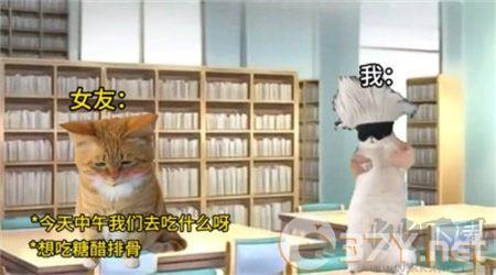 猫meme搞怪冒险