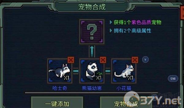 像素危城(FurySurvivorPixelZ) 