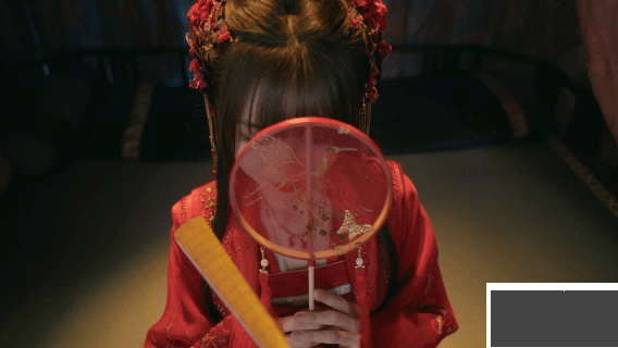 完蛋我被美女包围了2