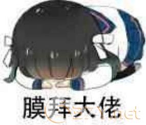 小弟膜拜膜拜膜拜你表情包大全