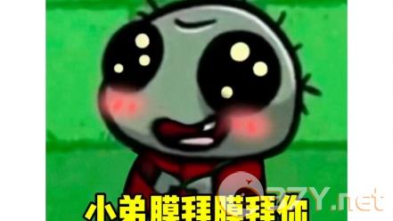 小弟膜拜膜拜膜拜你表情包大全