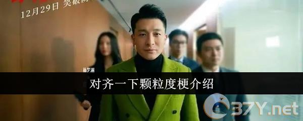 对齐一下颗粒度梗介绍