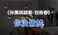 《孙美琪疑案-刘青春》四级线索——你没做梦