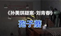 《孙美琪疑案-刘青春》四级线索——孢子蘑