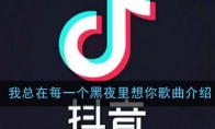 《抖音》我总在每一个黑夜里想你歌曲介绍