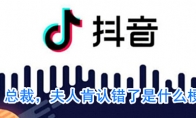 总裁，夫人肯认错了是什么梗