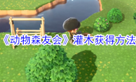 《动物森友会》灌木获得方法