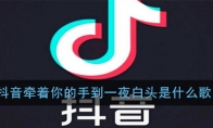 抖音牵着你的手到一夜白头是什么歌