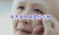 张杰爱人啊是什么梗