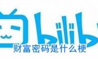 财富密码是什么梗