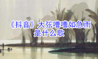 《抖音》大弦嘈嘈如急雨是什么歌
