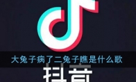大兔子病了二兔子瞧是什么歌